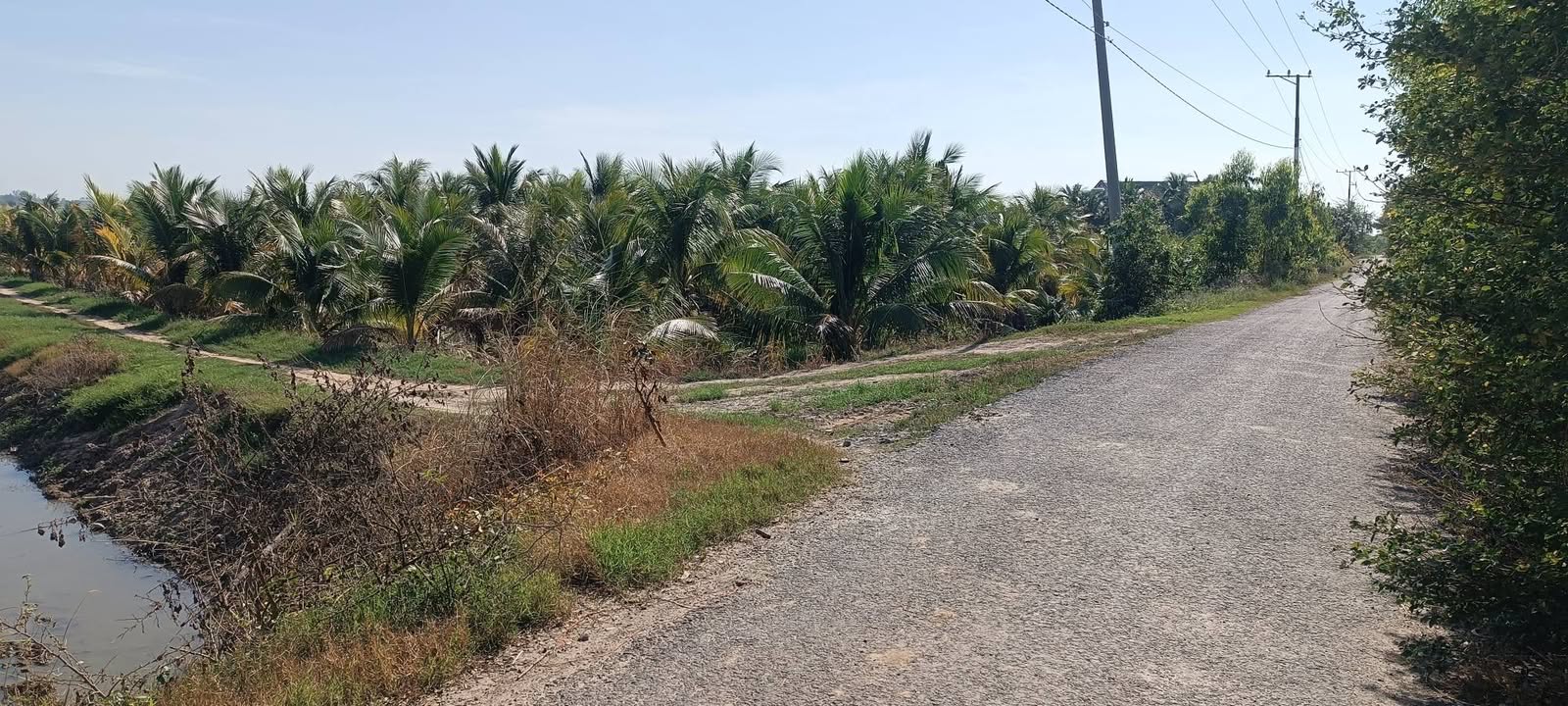 Đất nền Thông Bình, Tân Hồng, Đồng Tháp 52.000m² - Cơ hội đầu tư tuyệt vời!