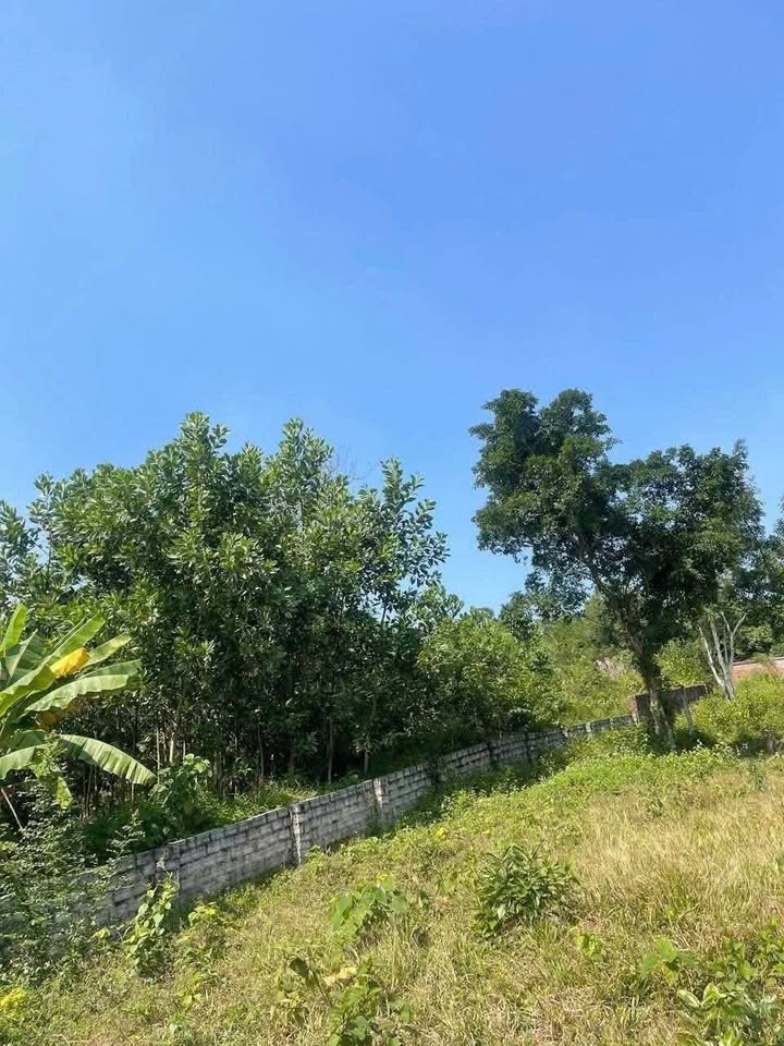 Đất nền Yên Bài, Ba Vì 4100m² giá 16.4 tỷ - View núi Tản Viên tuyệt đẹp!