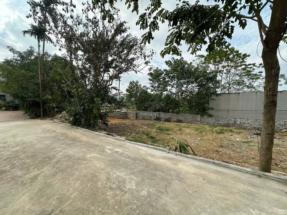 Đất nền Phú Cát, Quốc Oai 90,2m² - Gần chợ, trường học, tiện ích đầy đủ!