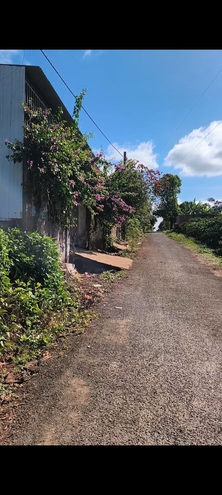 Đất nền xã Ia Hrung, Gia Lai 216m² giá chỉ 8xx triệu - Cơ hội đầu tư hấp dẫn!