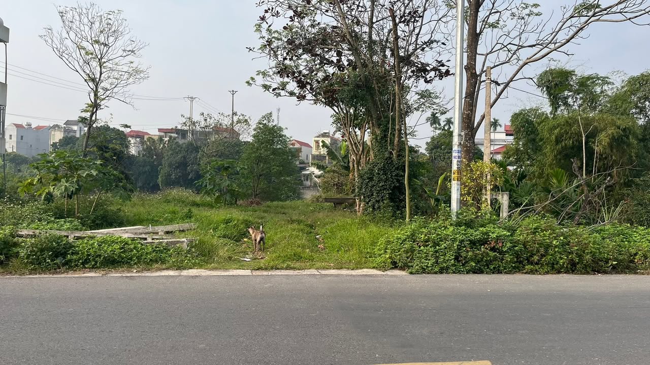 Đất nền tại Hòa Mạc, Duy Tiên, 135m² - Đầu tư sinh lời ngay!