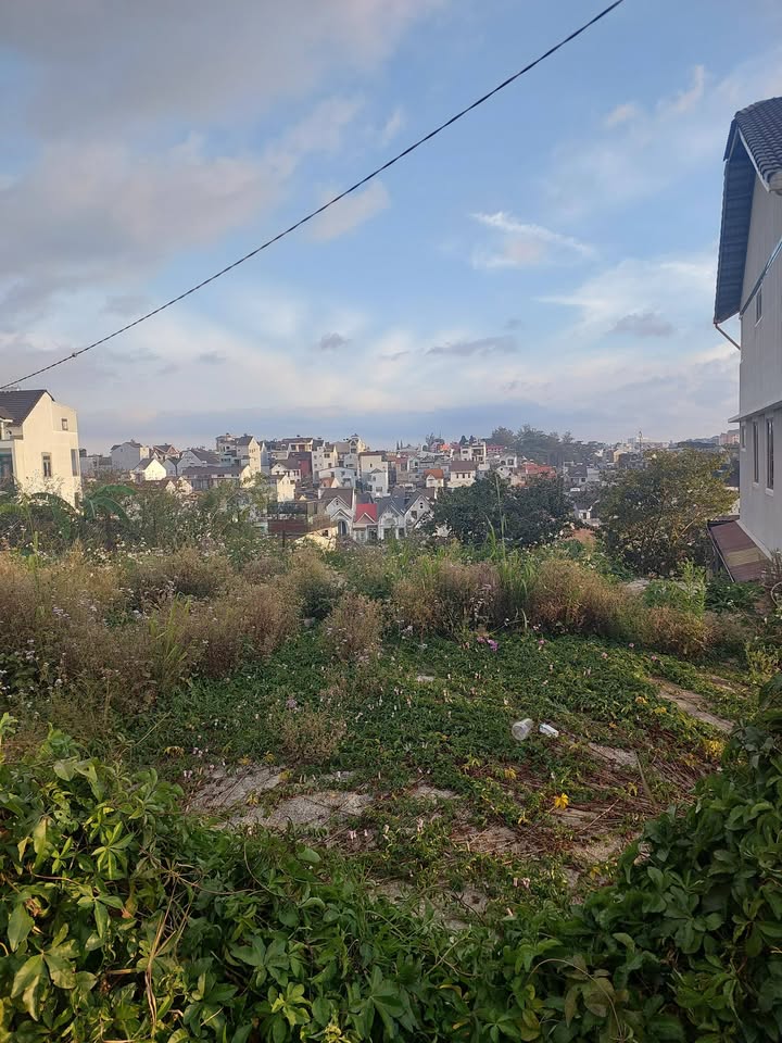 Bán đất sổ đỏ tại đường Ngô Quyền, Đà Lạt 200m² - Vị trí cao ráo, giá chỉ 4.5 tỷ!