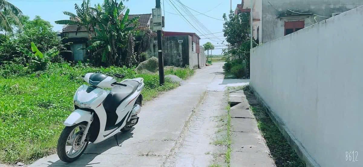 Lô đất Tân Trào, Kiến Thụy 111.5m² giá 2.23 tỷ - Cơ hội đầu tư tuyệt vời!