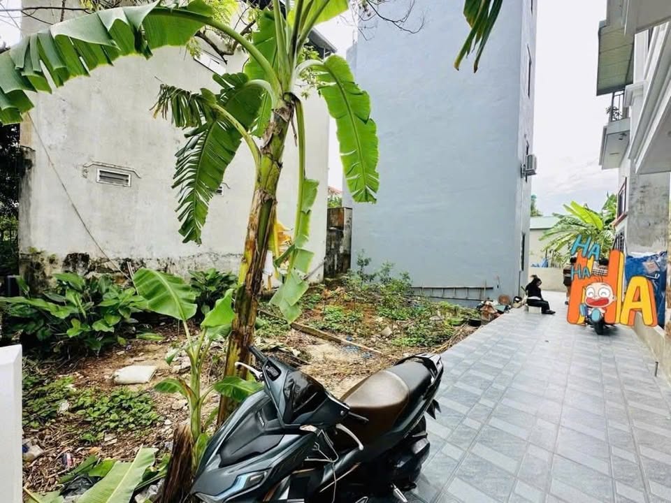 Đất Phụng Châu 31.5m² giá 2.4 tỷ - Sổ đỏ chính chủ, xây nhà ngay!