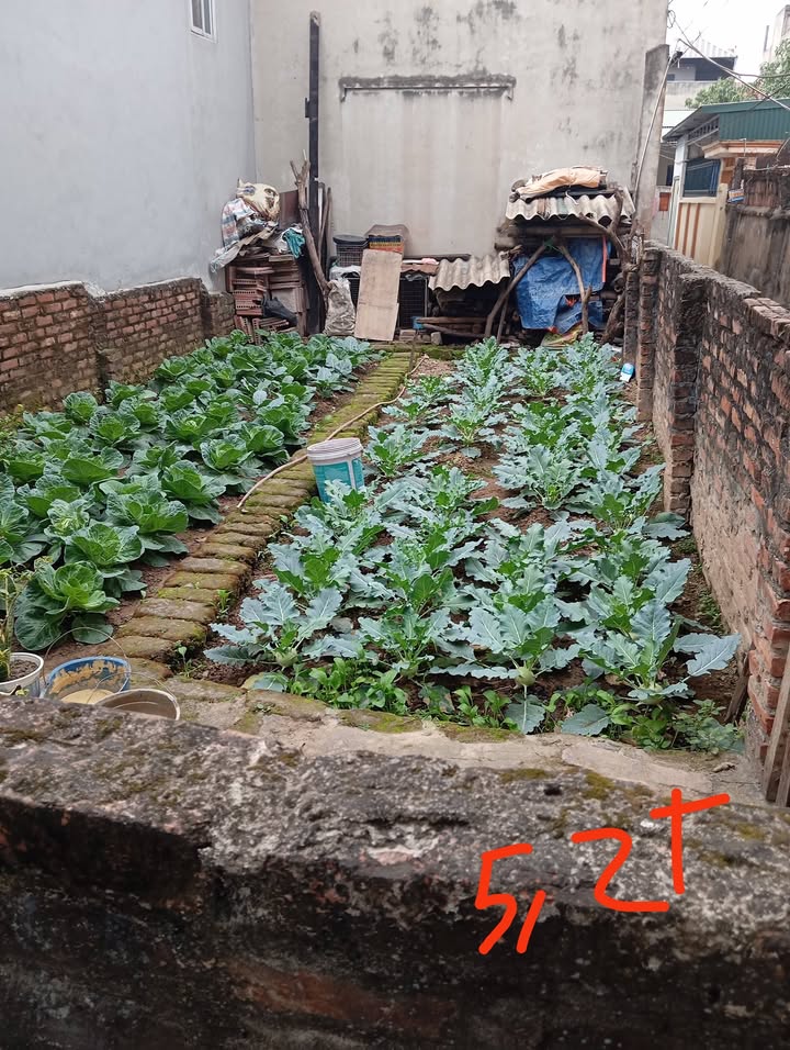 Đất nền mặt tiền 50m² tại Đồng Mai - Hà Đông - Ô tô vào tận nơi!