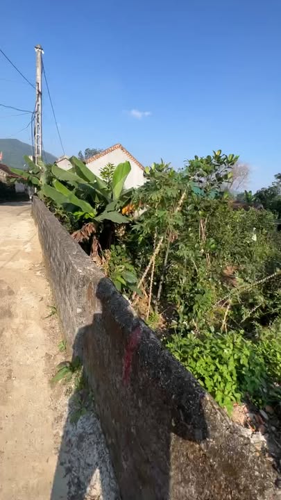 Đất nền Nam Thanh, Yên Thành 200m² giá chỉ 800 triệu - Cơ hội đầu tư tuyệt vời!