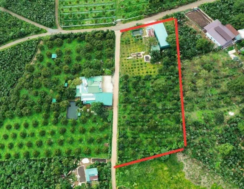 Đất thổ cư Lộc An, Bảo Lâm 5000m² giá 11 tỷ - Mặt tiền 2 mặt đường