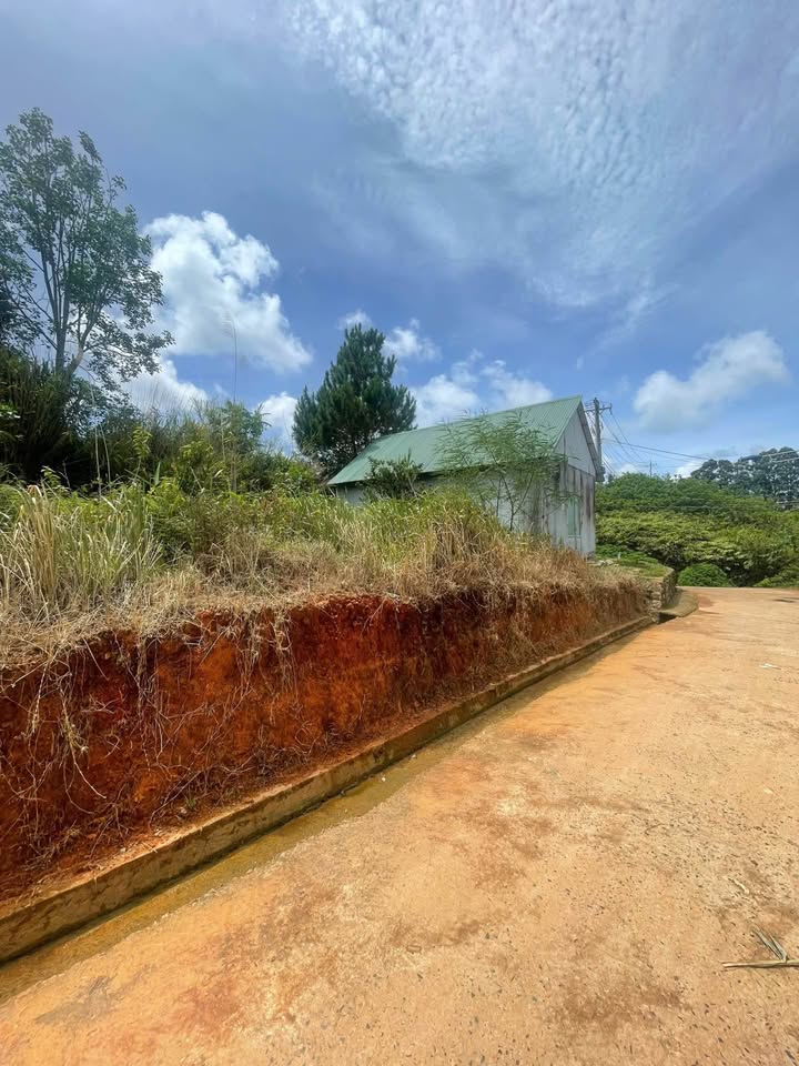 Đất thổ cư Lạc Dương 169m² giá 2.6 tỷ - Gần trung tâm Đà Lạt!