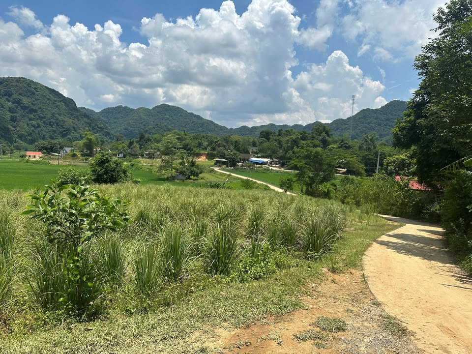 Đất ở Thạch Thành, Thanh Hóa 136m² giá 100 triệu - Đầu tư an toàn ngay!