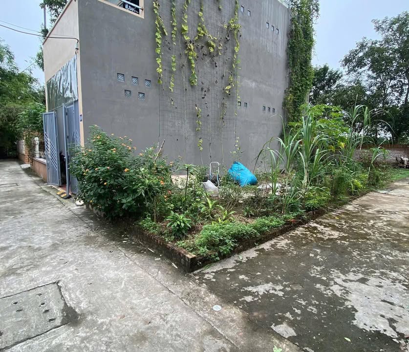 Đất Đa Tốn lô góc 48.6m² giá 4 tỷ - Ô tô đỗ sát nhà, gần trường học!