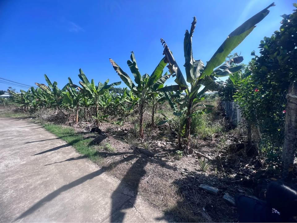 Đất nền Phú Thịnh Tân Phú 3600m² giá 690 triệu - Mặt tiền đẹp, sổ hồng chính chủ!