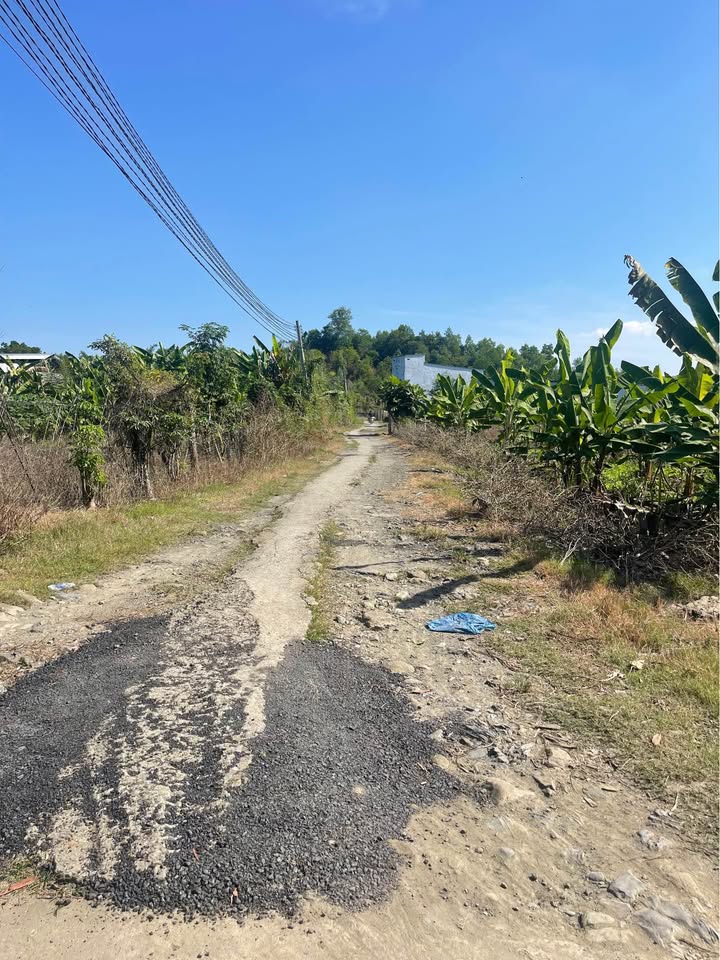 Đất nền Phú Thịnh Định Quán 3600m² giá 690 triệu - Cơ hội đầu tư tuyệt vời!