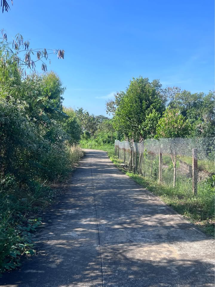 Đất nền Phú Thịnh, Định Quán 3600m² giá 718 triệu - Cơ hội đầu tư tốt!