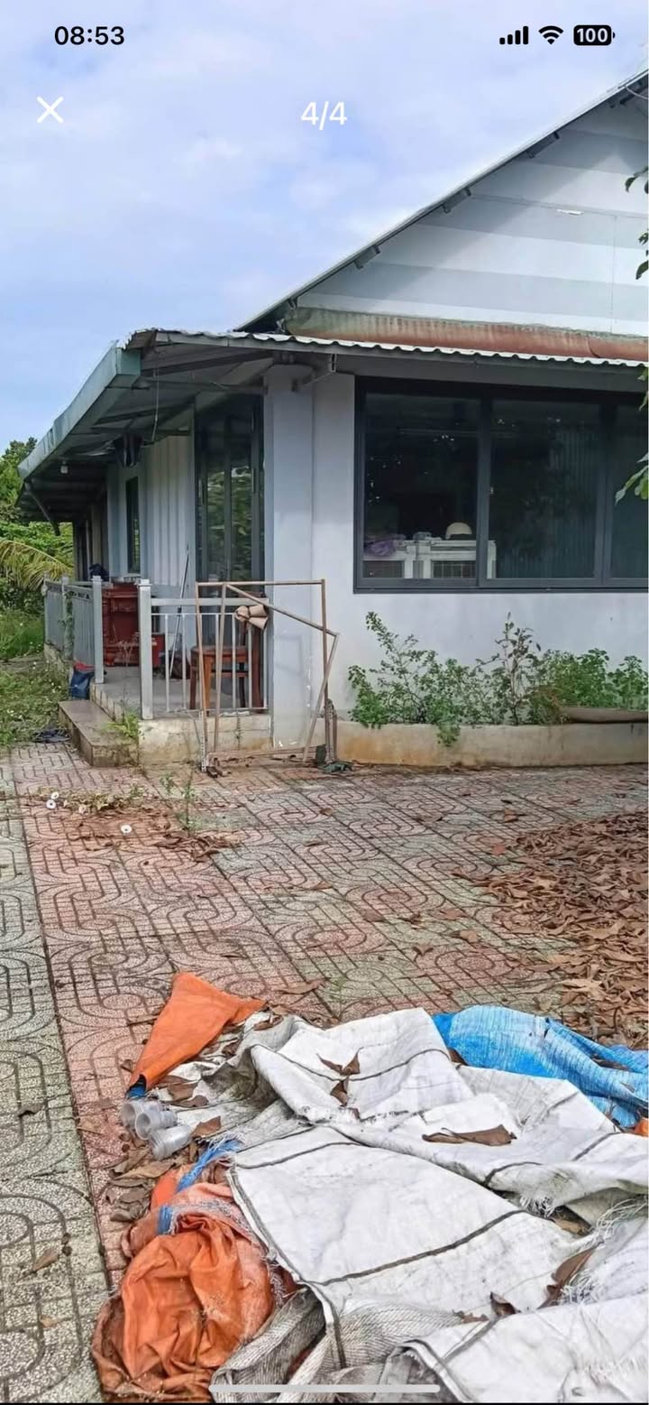 Bán nhà vườn Củ Chi 1.084m² giá 6.5 tỷ - Đầu tư sinh lời ngay!