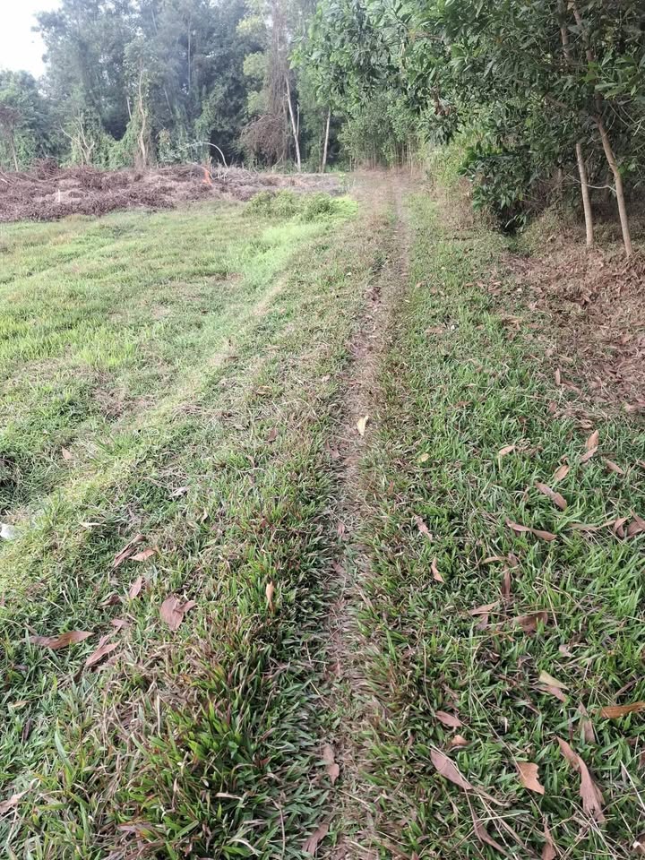 Đất nền An Tịnh, Trảng Bàng, Tây Ninh 600m² giá 280 triệu - Cơ hội đầu tư sinh lời!