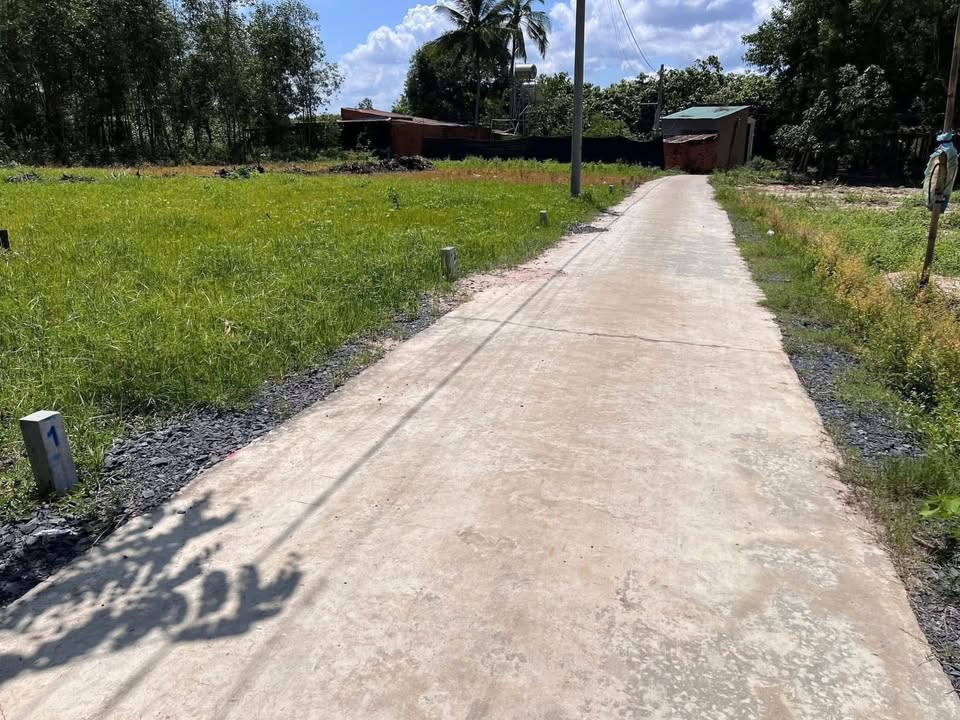 Đất thổ cư Trí Bình, Châu Thành, Tây Ninh 135m² chỉ 200 triệu - Đầu tư sinh lời ngay!