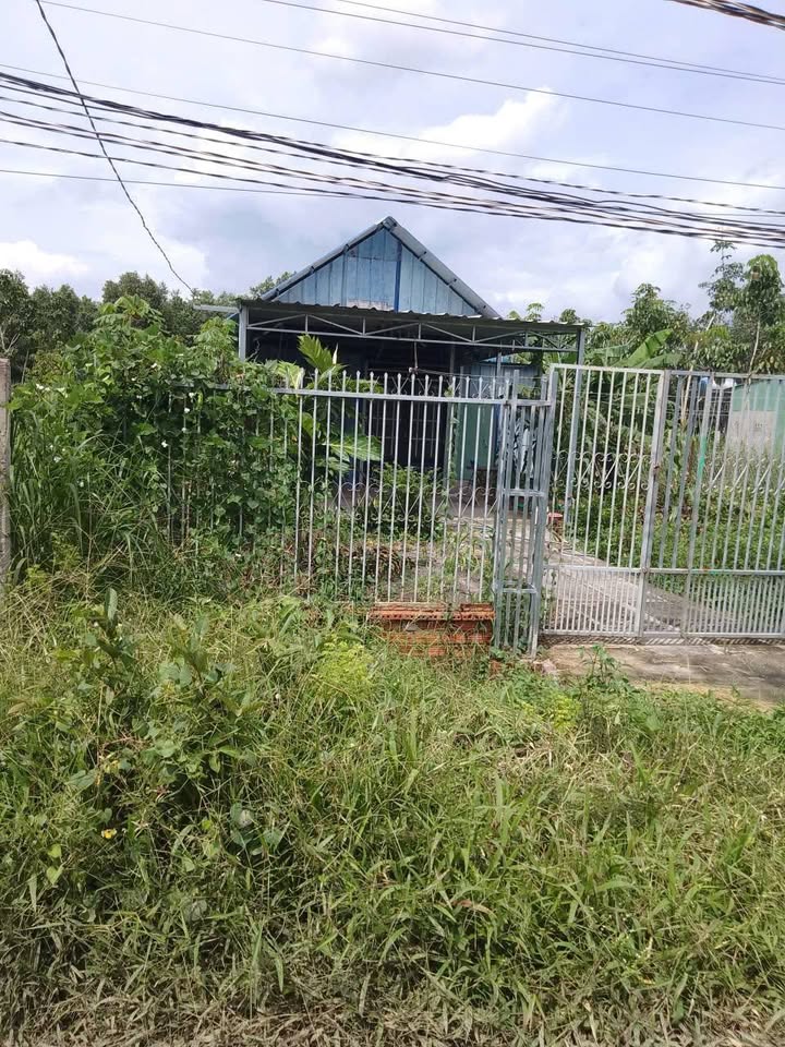 Đất Bàu Lùn, Phường Bình Minh 500m² giá 339 triệu - Bán gấp về quê ăn Tết!