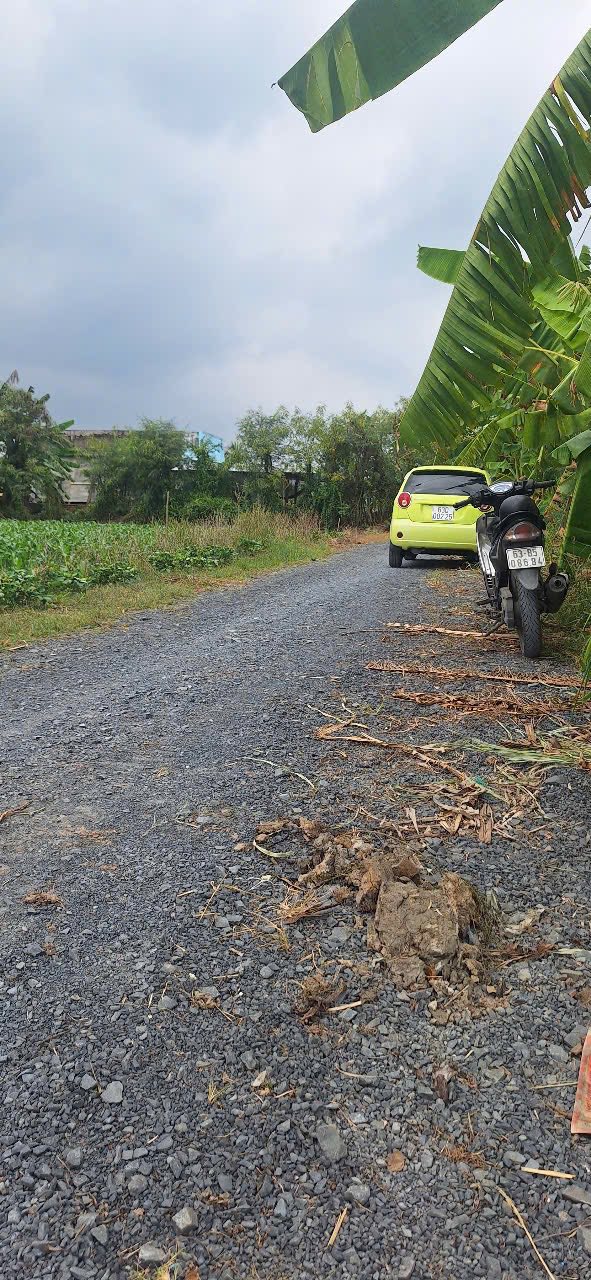 Đất nền đẹp Gò Công Tây 499m² giá 420 triệu - Hướng Tây view kênh thoáng mát!