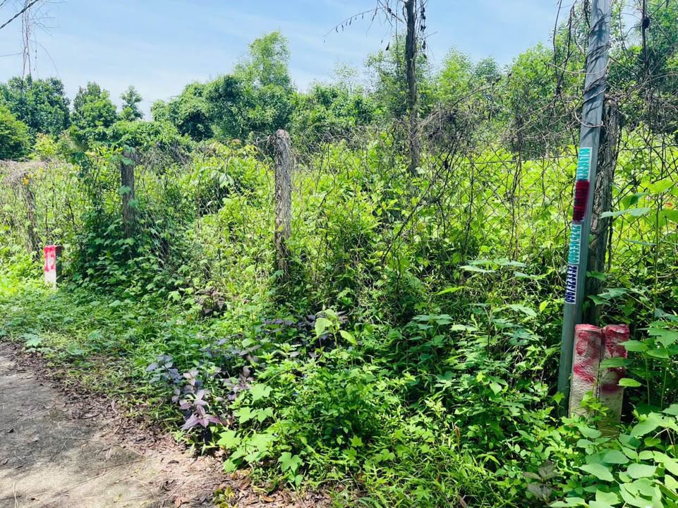 Đất thổ cư Diên Xuân, Diên Khánh 122m² giá 325 triệu - Cơ hội sở hữu dịp cuối năm!