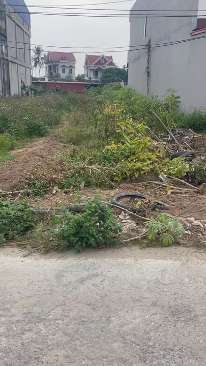 Đất nền Kim Đính Kim Thành 100m² - Vị trí vàng gần tiện ích!