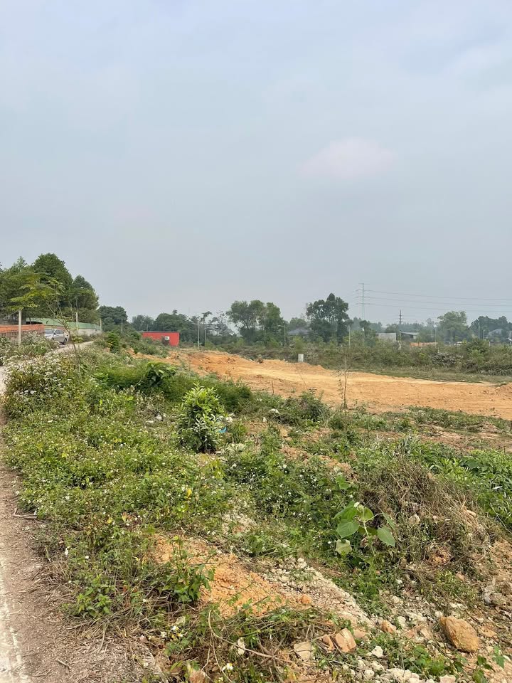 Đất nền Kim Long Tam Dương 4034m² giá 200 triệu/sào - Tiềm năng chuyển đổi đất ở!