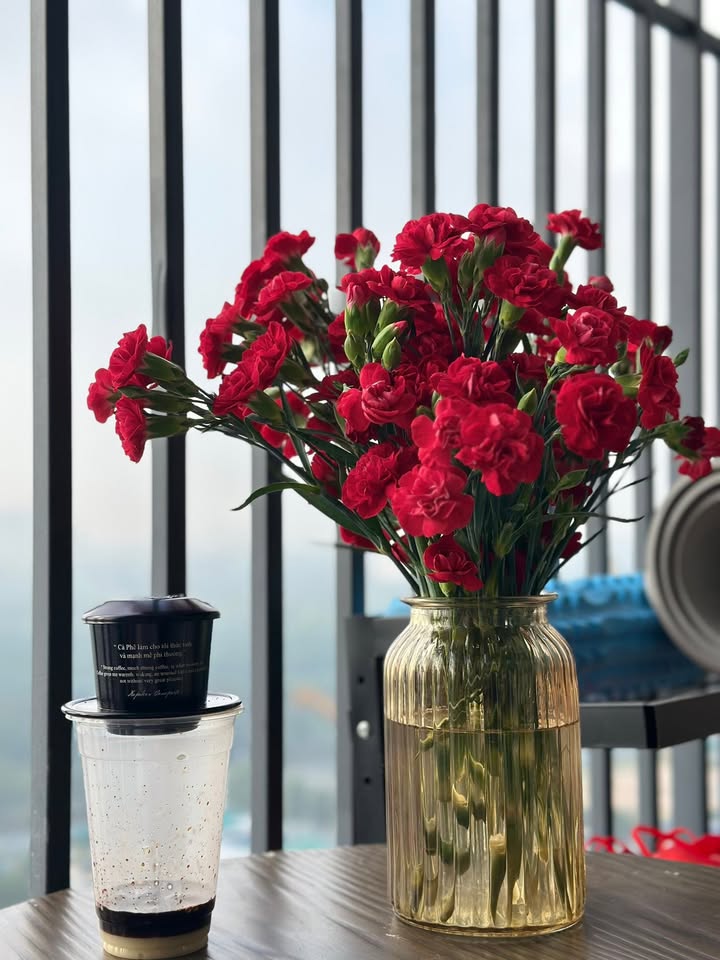 Căn hộ Midori Park - The Glory Dĩ An 2PN giá 16.5 triệu - Sẵn sàng vào ở ngay!