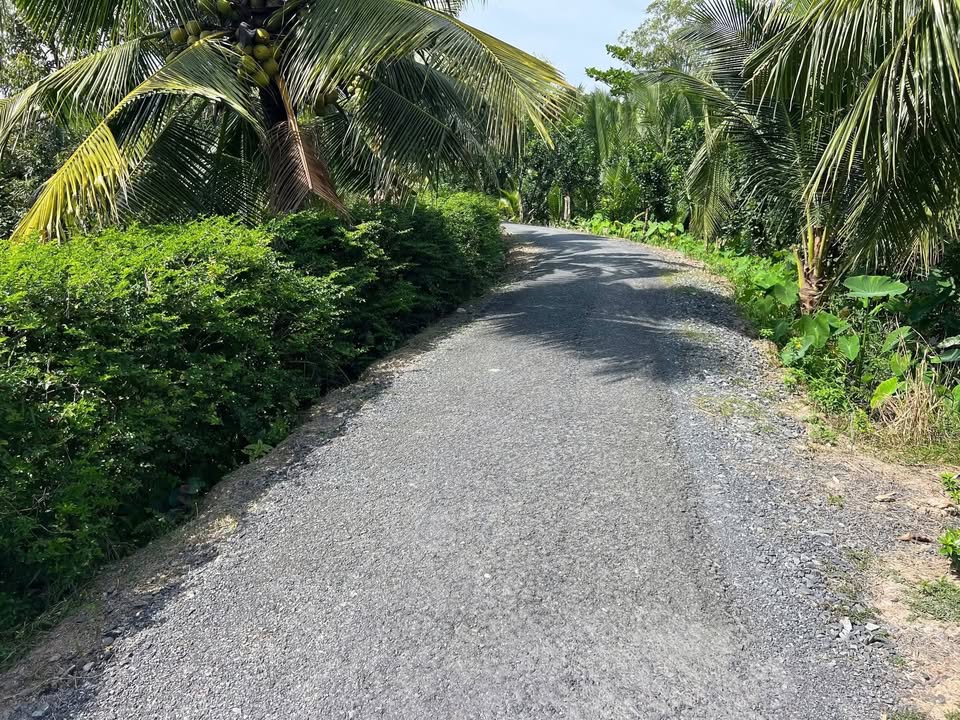 Đất nền Vĩnh Long 135m² giá 210 triệu - Cơ hội đầu tư hiếm có!