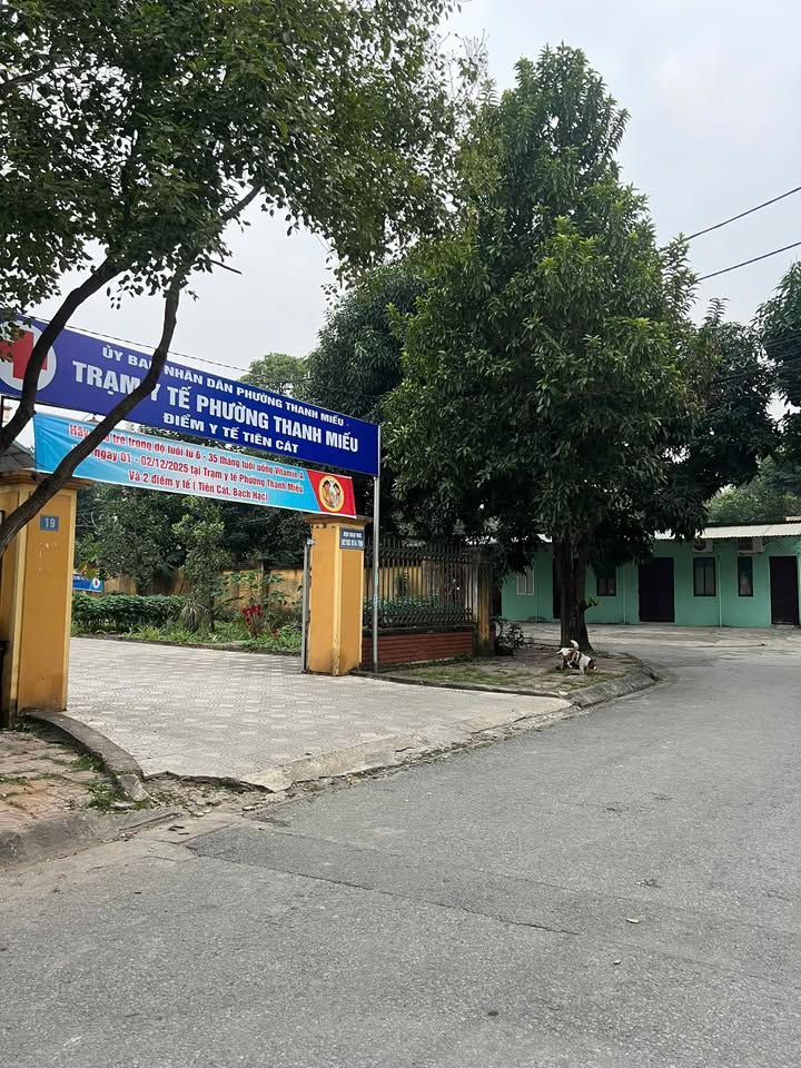 Đất nền Tiên Cát, Việt Trì 100m² giá 3.3 tỷ - Đầu tư sinh lời tiềm năng!