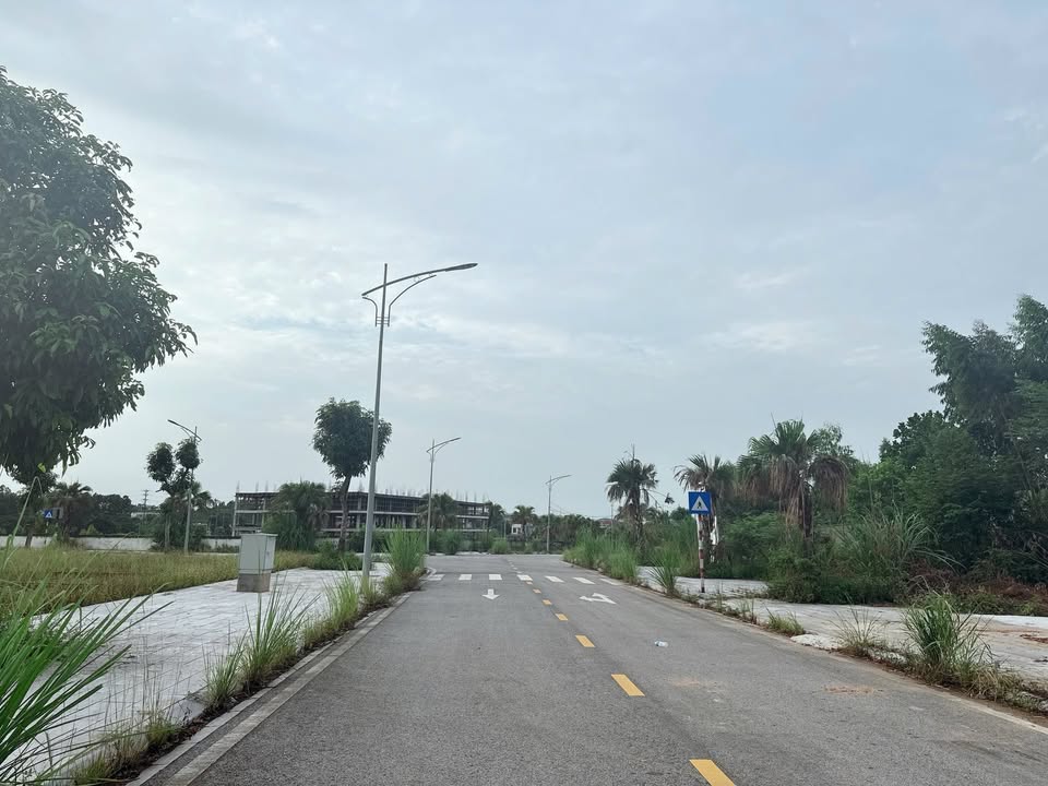 Đất nền dự án Việt Trì Spring 90m² giá thỏa thuận - Hướng Đông, gần bệnh viện