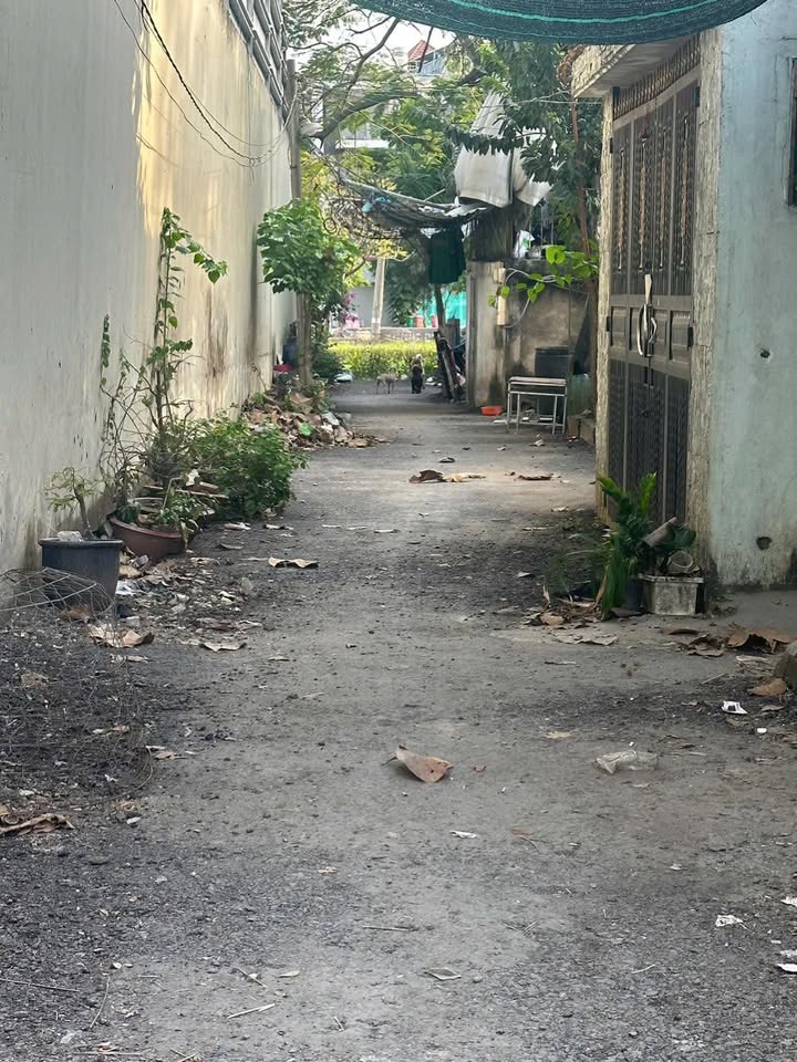 Đất nền Nam Hùng Vương, An Lạc, Bình Tân 99m² giá 5.5 tỷ - Ngang 4.5m, xe hơi vào tận nơi!