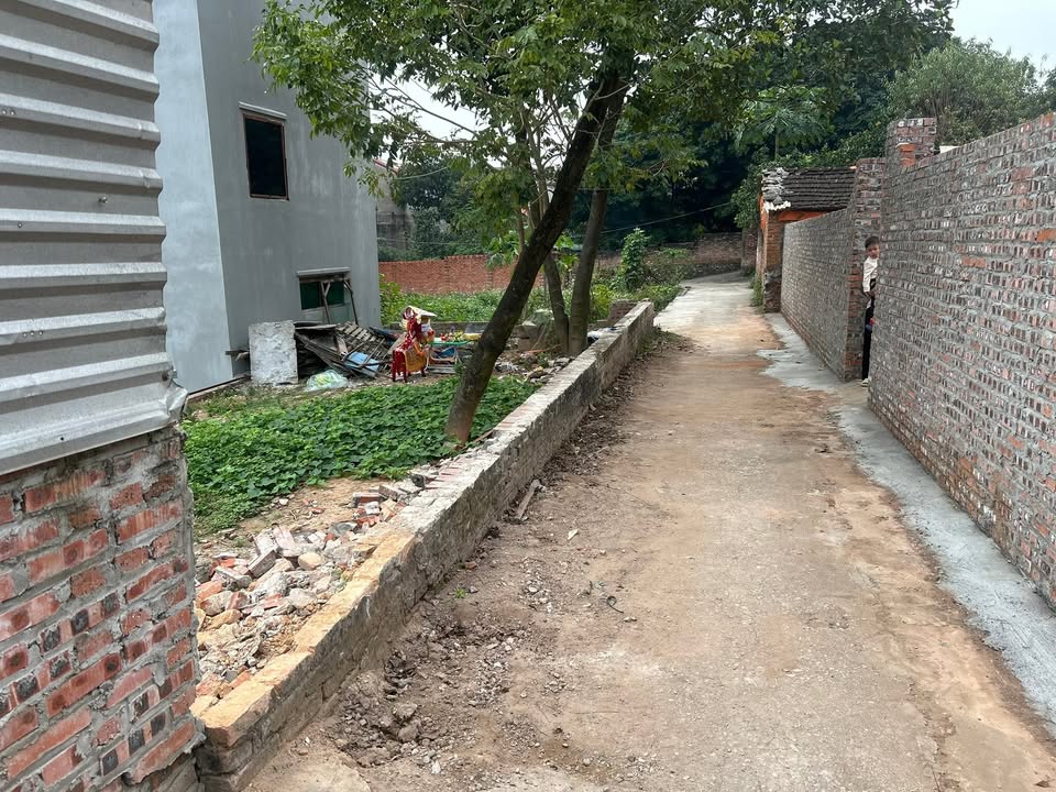 Đất nền Ngô Xá Phật Tích 71m² giá 1.1 tỷ - Cơ hội đầu tư hấp dẫn!