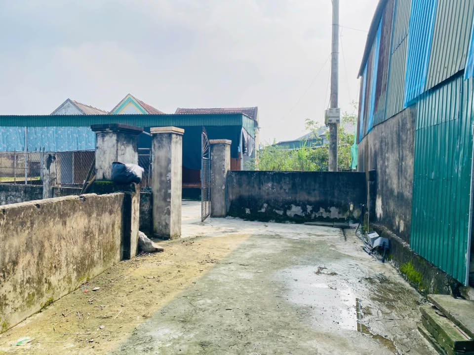 Đất thôn Đông Sơn, Mai Phụ, Lộc Hà 245m² giá 950 triệu - Cơ hội đầu tư tuyệt vời!