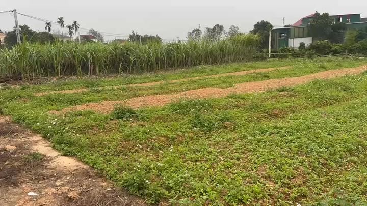 Đất nền Vân Du - Yên Thành 250m² giá thỏa thuận - Vị trí đẹp, đầu tư sinh lời!