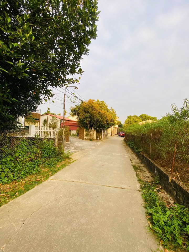 Đất thổ cư TDP 8, Nông Tiến, Tuyên Quang 348m² giá 2 tỷ - Chính chủ bán gấp!