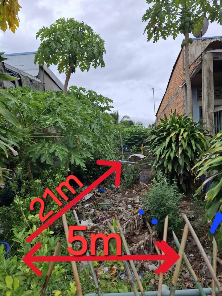 Đất nền mặt tiền chợ Mỹ Luông, Chợ Mới, An Giang 105m² - Cơ hội kinh doanh tuyệt vời!