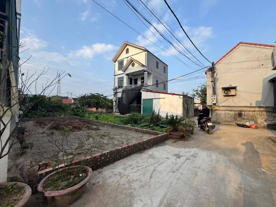 Đất nền Vân Tảo - Thường Tín 55.5m² giá 4.515 tỷ - Đầu tư sinh lời ngay!