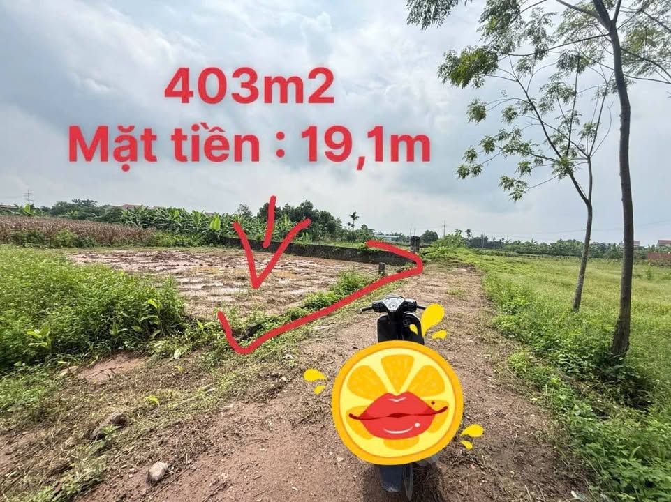 Đất vườn 403m² tại Sài Sơn, Quốc Oai - Ô tô vào tận đất, pháp lý rõ ràng!