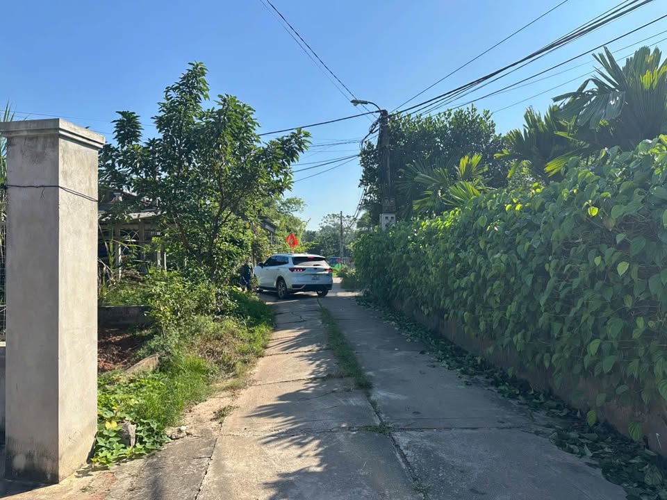 Đất nền đẹp Phú Xá Thái Nguyên 260m² - Giá chỉ 1 tỷ, đầu tư sinh lời hấp dẫn!