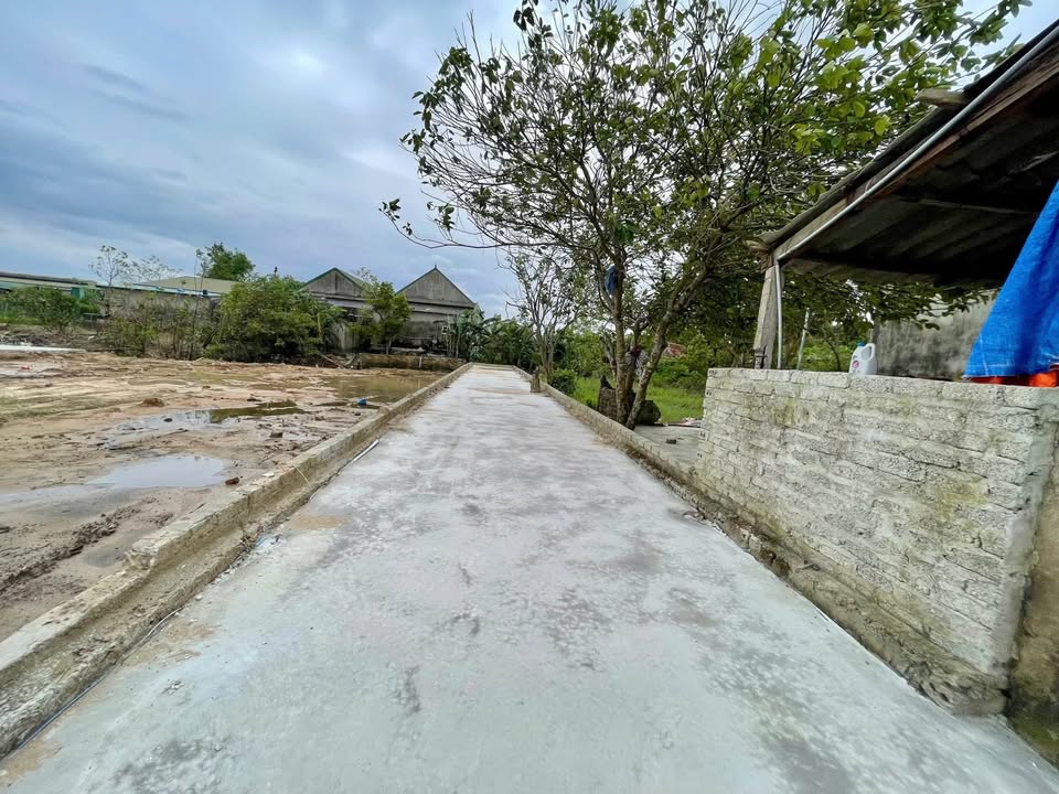 Đất nền Hưng Tây Hưng Nguyên 80m² giá 1.9 tỷ - Đầu tư sinh lời ngay!