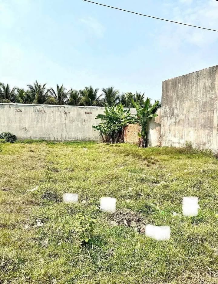 Đất thổ cư 145m² tại Mỹ Hạnh Bắc, Đức Hòa - Giá chỉ 1.05 tỷ!