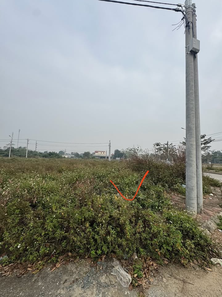 Đất dịch vụ Tân Xã, Thạch Thất 170m² - Tiềm năng sinh lời cao!