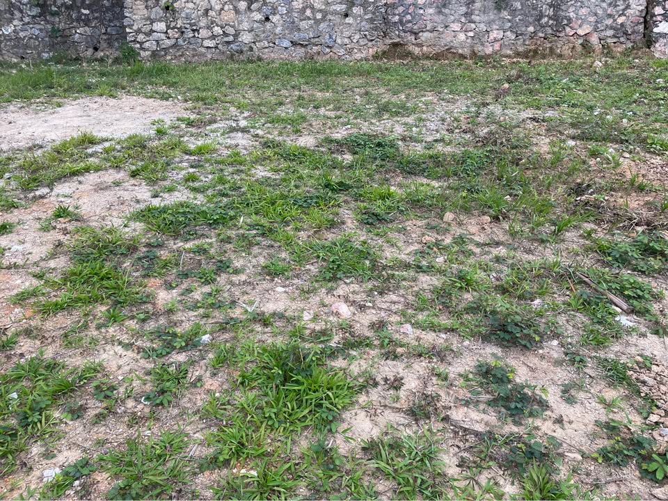 Đất nền Ngọc Xuân, Cao Bằng 84m² chỉ 600 triệu - Giá cực tốt dịp Tết!