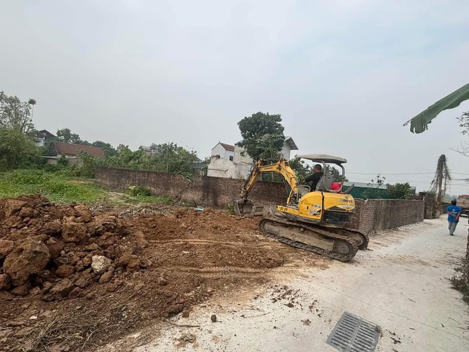 Đất nền Trình Xá, Đỗ Động 806m² - Giá thỏa thuận, vị trí đẹp!