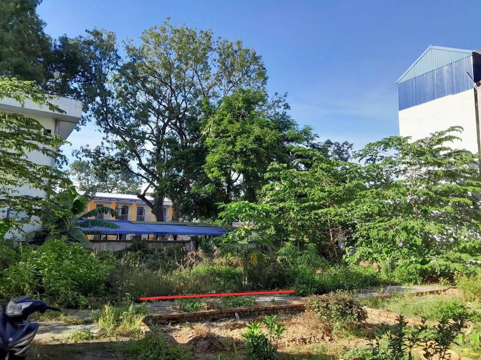 Đất thổ cư xã Thanh Mai, huyện Thanh Oai 42,1m² giá chỉ 2 tỷ - Đầu tư sinh lời tốt!