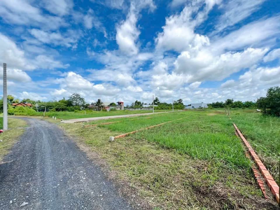 Đất nền Rạch Bà Nhàng, Phước Lâm, Cần Giuộc 1185m² - Xây dựng tự do, giá tốt!