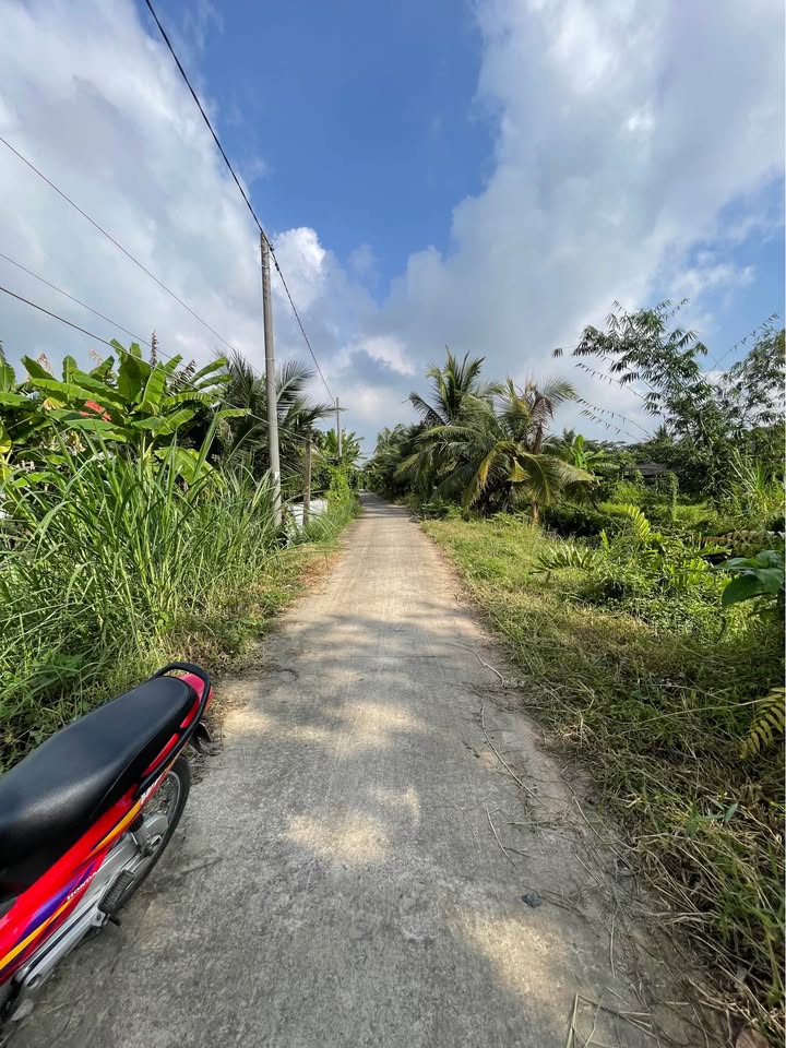 Đất lúa 1351m² đường Phạm Văn Điền, xã An Vĩnh Ngãi - Giá chỉ 2,2 tỷ!