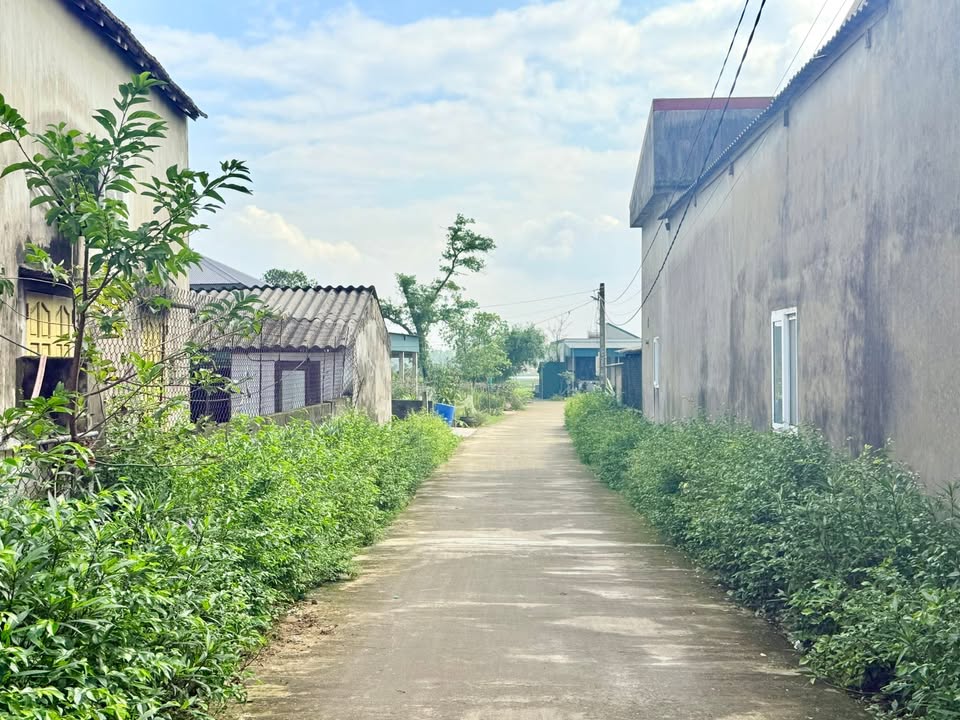 Đất nền Kỳ Hoa, Kỳ Anh 133m² giá 880 triệu - Đường ô tô vào tận nơi!