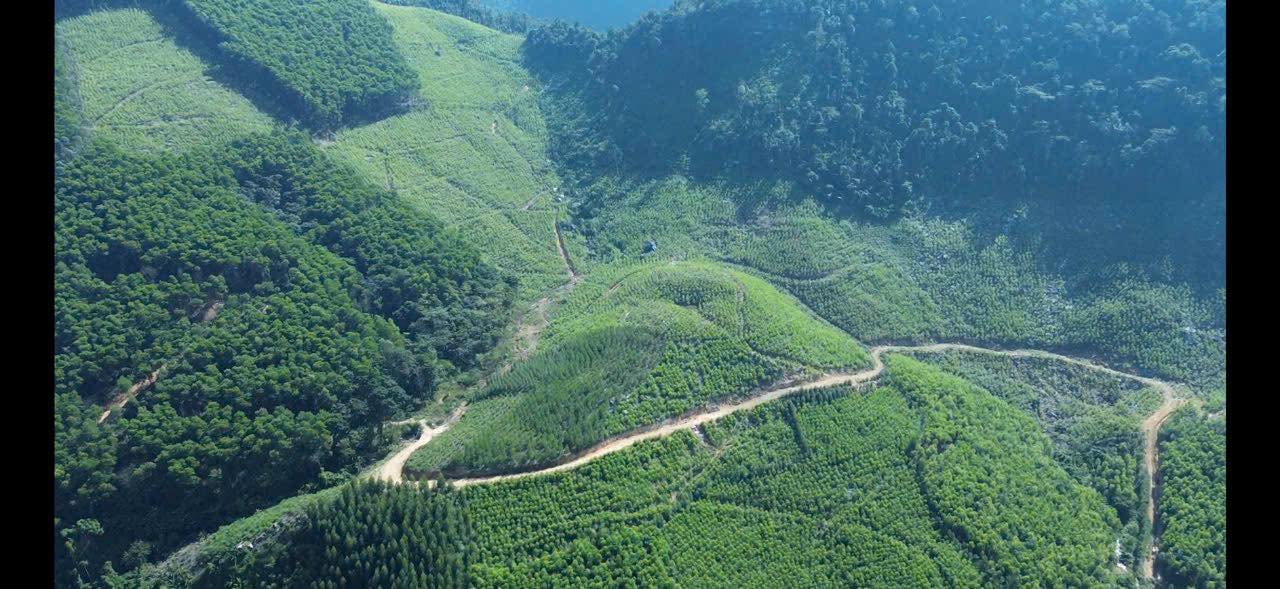 Đất nông nghiệp 6ha tại Quảng Chu, Chợ Mới, Bắc Kạn - Địa hình lý tưởng cho phát triển nông nghiệp!