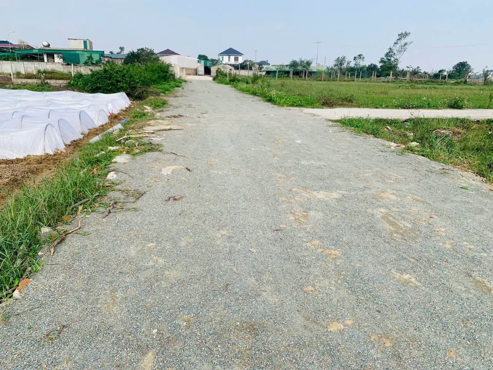 Đất nền Nghi Phong 174m² giá 3.74 tỷ - Đầu tư sinh lời cao!