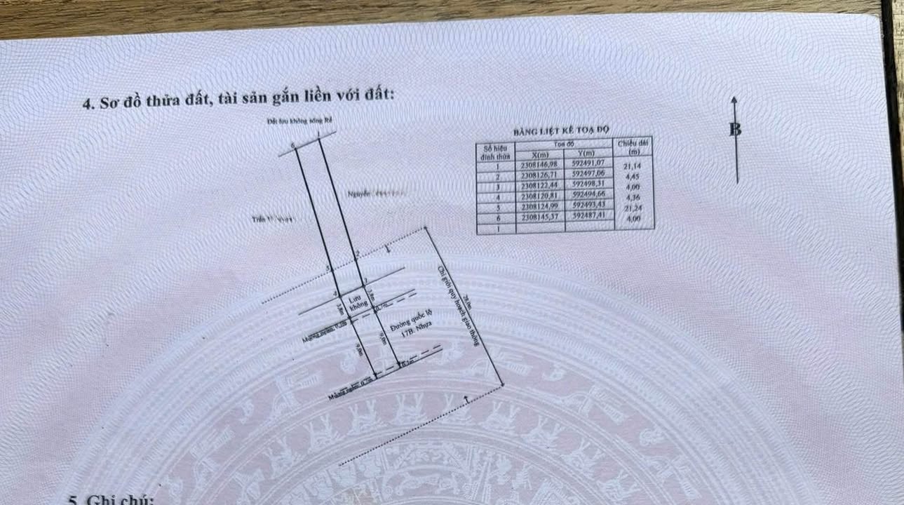 Đất nền đường 208, An Đồng, An Dương 101m² giá 3 tỷ - Đầu tư sinh lời ngay!